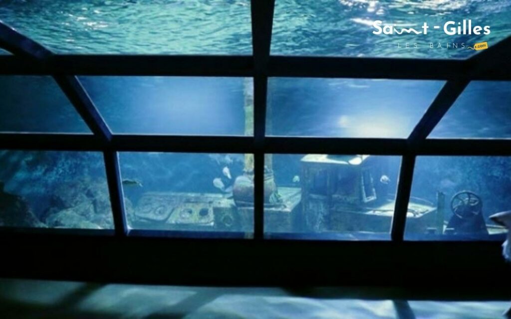 Aquarium de La Réunion à Saint-Gilles Les Bains : Requins