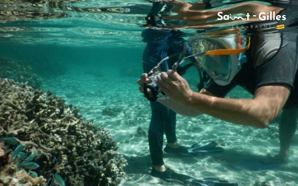 Sentier sous-marin avec La Réserve Naturelle Marine de La Réunion, activité à Saint-Gilles