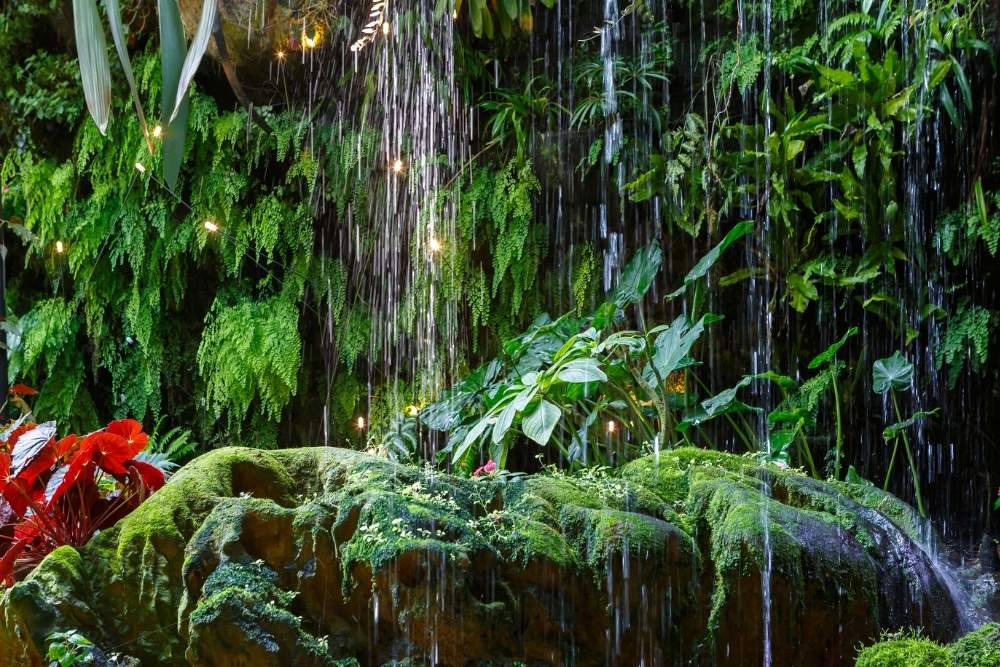 La pluviométrie à La Réunion