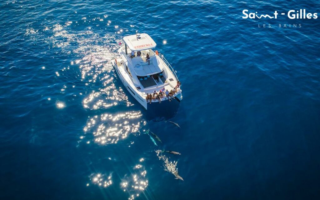 Vue extérieur du catamaran Bell'île à La Réunion