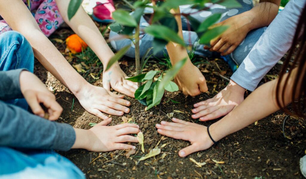 Éclosion verte à Hermitage-les-Bains : les jeunes acteurs de la nature restaurent le littoral boisé.