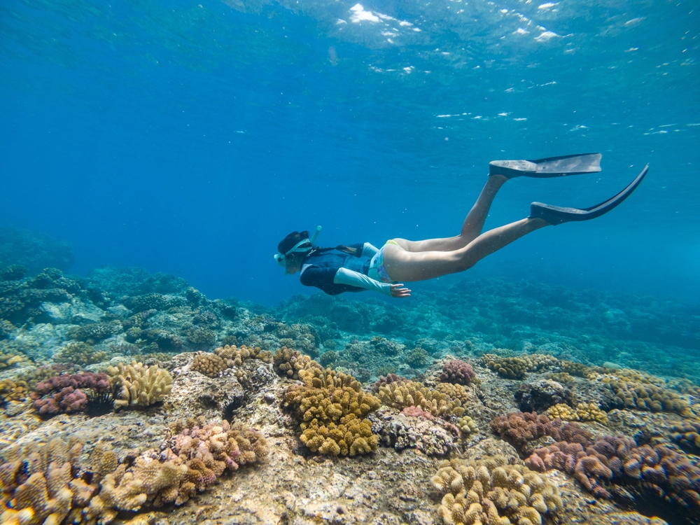 Snorkeling dans le lagon de l'Ermitage les Bains.