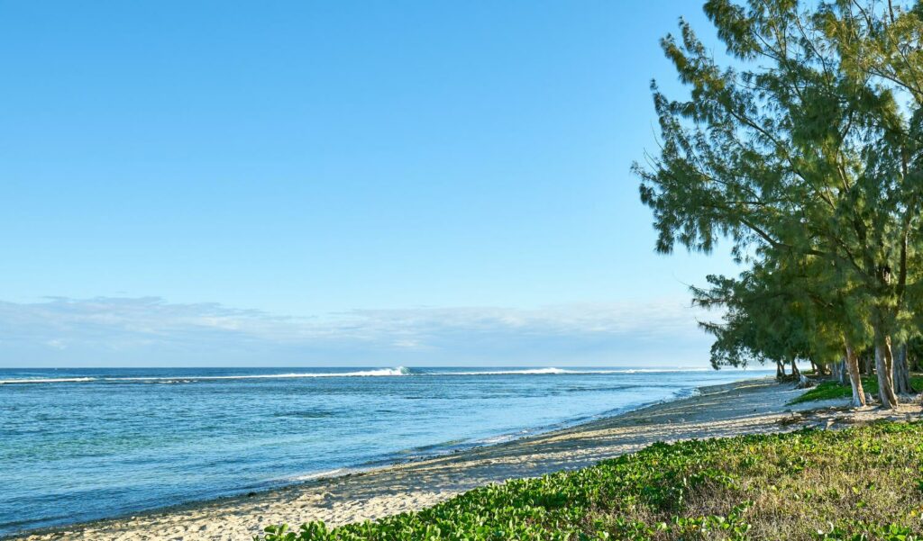 La baignade de nouveau possible sur les plages de Saint-Gilles les Bains.